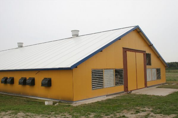 Płyta obornicka